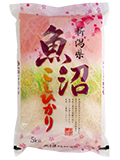 Japanese Rice KOSHIHIKARI UONUMA