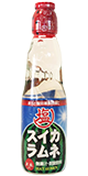 BIN-RAMUNE Watermelon