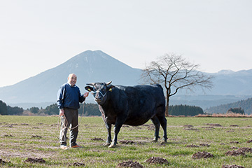 Wagyu beef